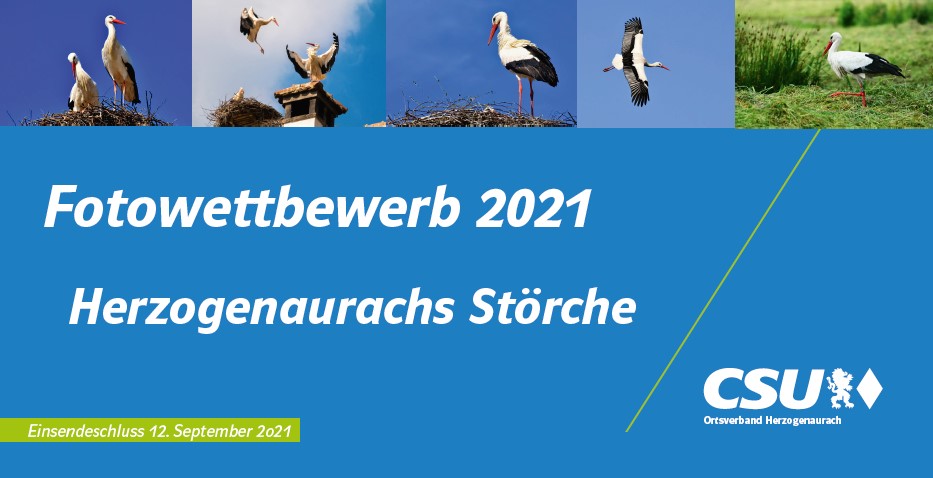 storch1
